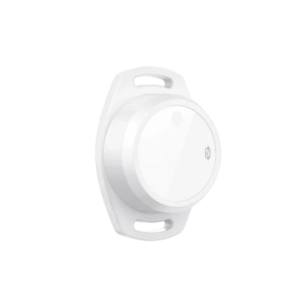 L01S Bluetooth Temperature Sensor